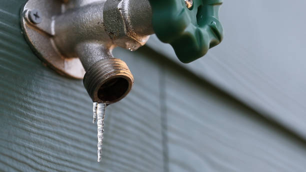 Best Local Plumber Services  in Port Orchard, WA